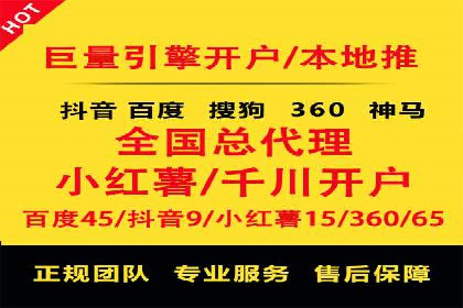 专业SEM代运营公司案例分析
